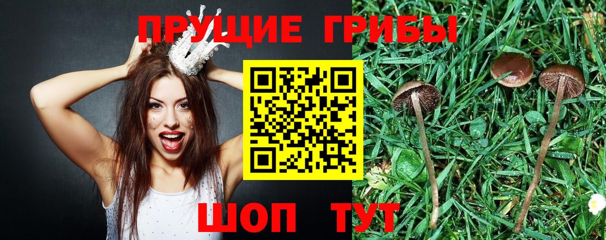 Псилоцибиновые грибы мухоморы Волгодонск