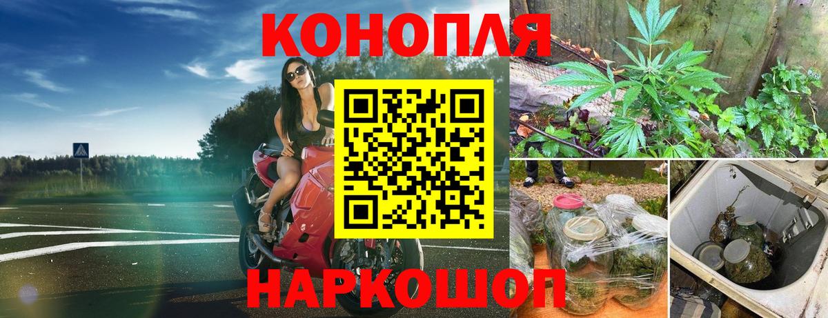МАРИХУАНА планчик  Вход с VPN  Волгодонск  Каннабис White Widow  Конопля THC 21% 